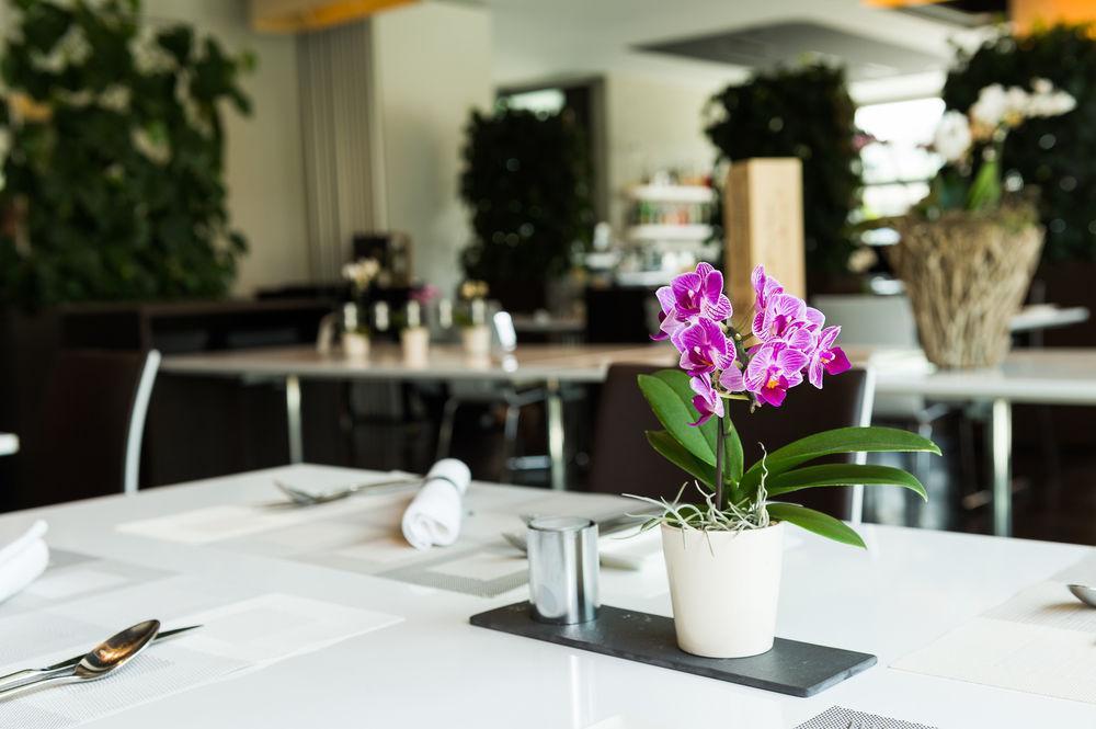 Risch-Rotkreuz Hotel Apart - Welcoming L Urban Feel L Design מראה חיצוני תמונה